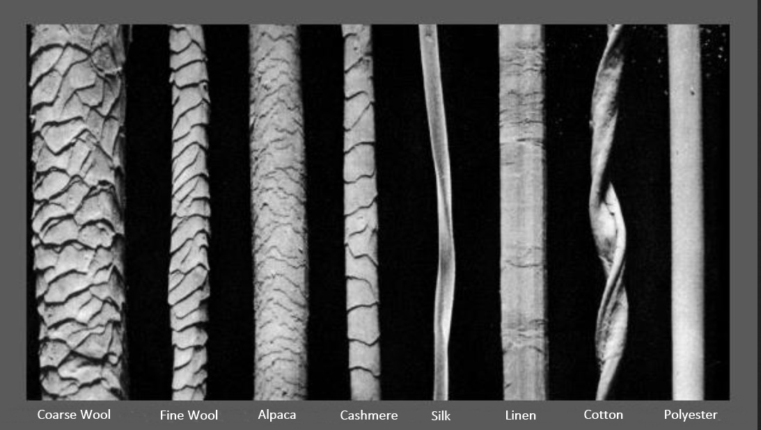 Magnification of various Textile Fibres